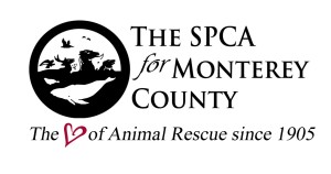 monterey_SPCA